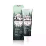 Зубная паста Форест Освежающая мята Smaland Forest Fresh Mint, 100g
